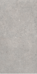 Cement Stone Grey RC 60x120