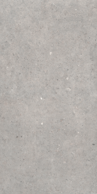 Cement Stone Grey RC 60x120