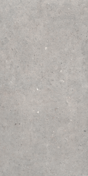 Cement Stone Grey RC 60x120