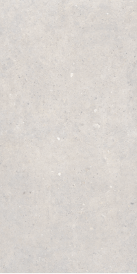 Cement Stone White Lapp 60x120