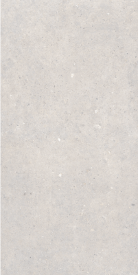 Cement Stone White RC 60x120
