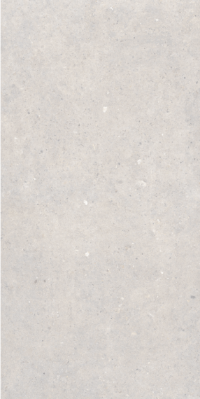 Cement Stone White RC 60x120