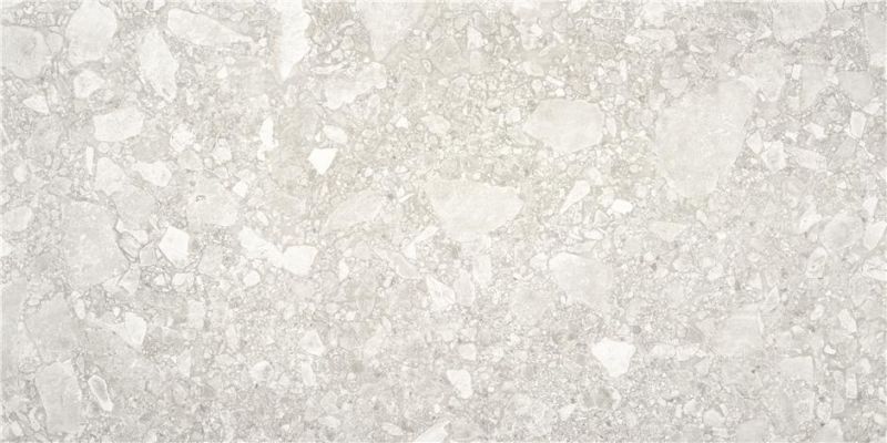 Ceppo Di Gre Light Grey 60*120