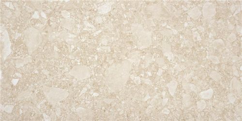 Ceppo Di Gre Sand 60*120