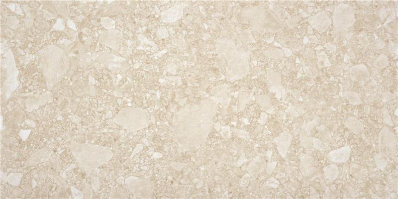 Ceppo Di Gre Sand 60*120