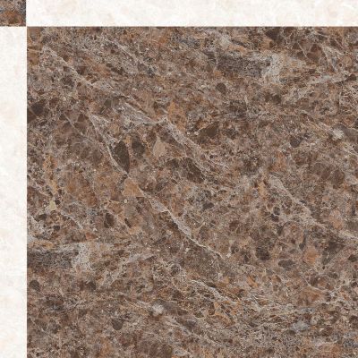 Chamber Brown 60x60