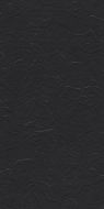 Charcoal Black Stone 60x120