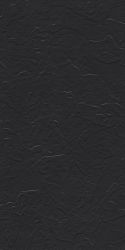 Charcoal Black Stone 60x120