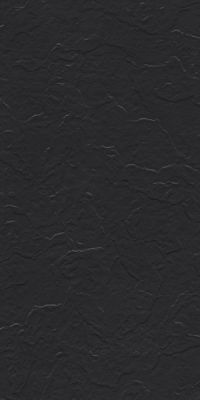 Charcoal Black Stone 60x120