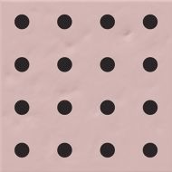 Chaya Rosa 20x20
