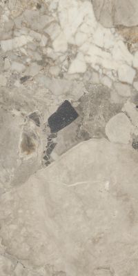 Cheppo Polished 60x120