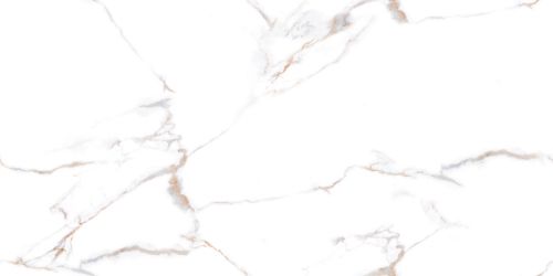 Christy White Glossy Silver Line 60x120