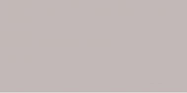 Cielo e Terra Beige Mat 119.8x59.8