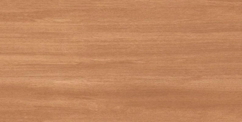 Cinar Brown Matt 60x120