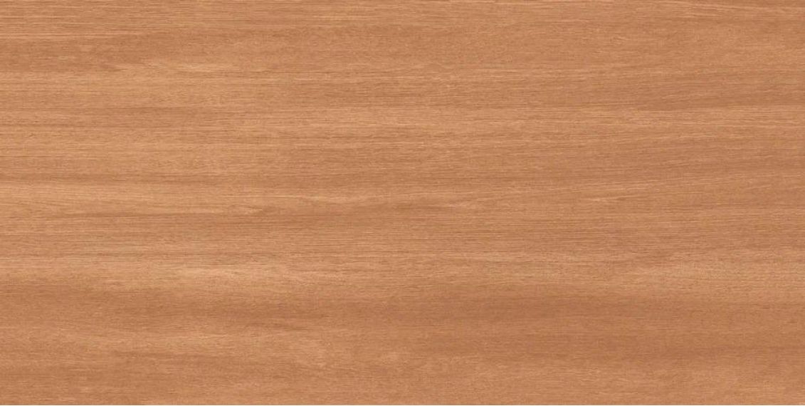 Cinar Brown Matt 60x120
