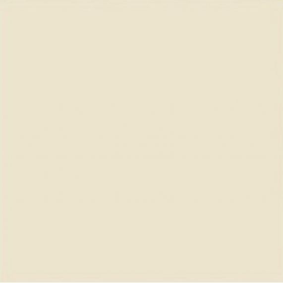 Citta Avorio MEHD 10*10