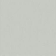 Citta Grigio MEHG 10*10