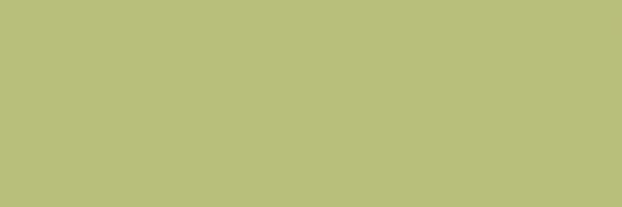 Citta Pistacchio MJ09 10*30