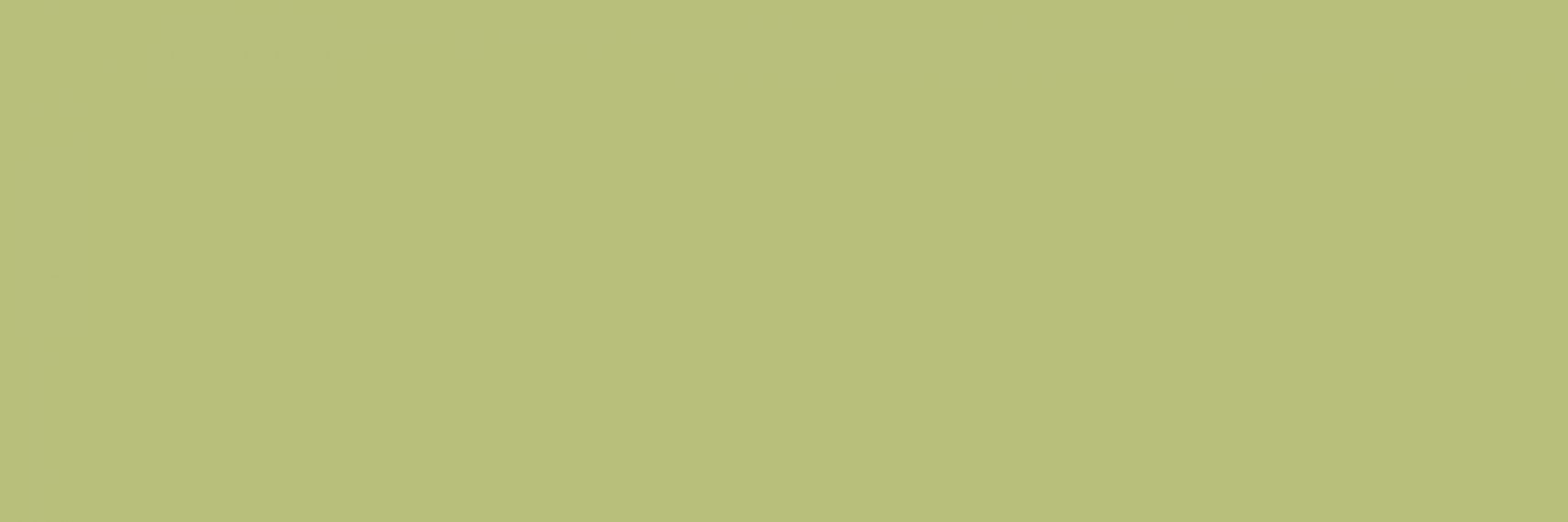 Citta Pistacchio MJ09 10*30