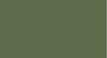 City Style G-116/P зеленый 30*60