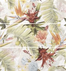 Cloud Set (3) 35х100