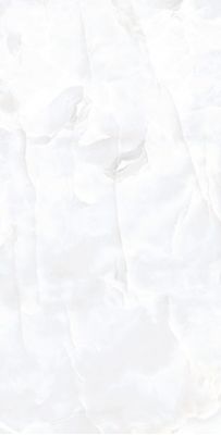 Coin White Glossy 60x120