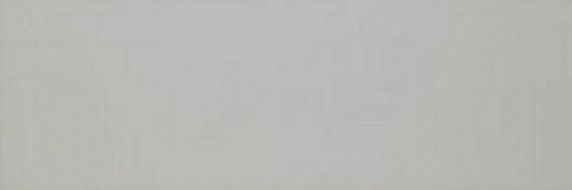 Colourline Grey MLDZ 22*66.2