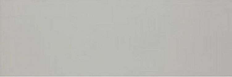 Colourline Grey MLDZ 22*66.2