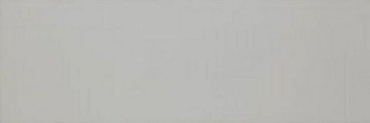 Colourline Grey MLDZ 22*66.2