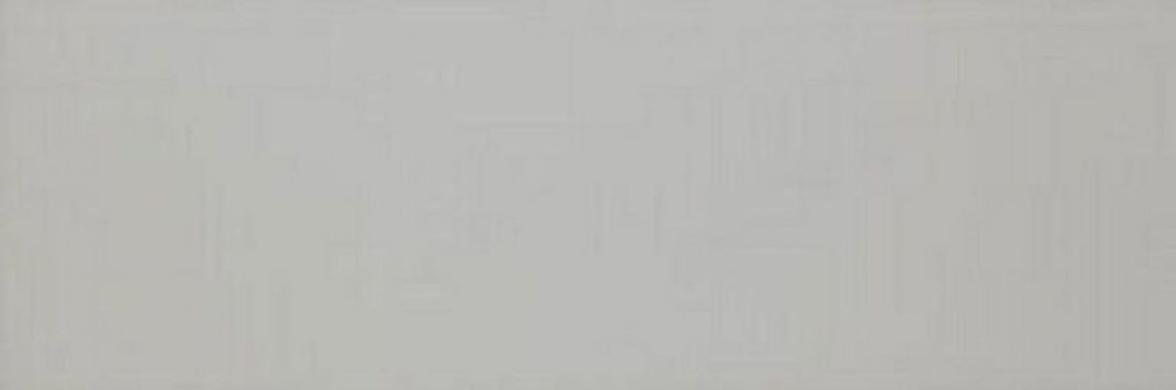 Colourline Grey MLDZ 22*66.2