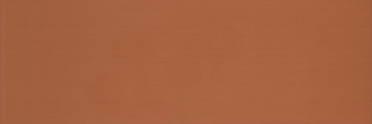 Colourline Orange MLE3 22*66.2