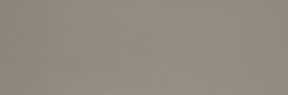 Colourline Taupe MLE2 22*66.2