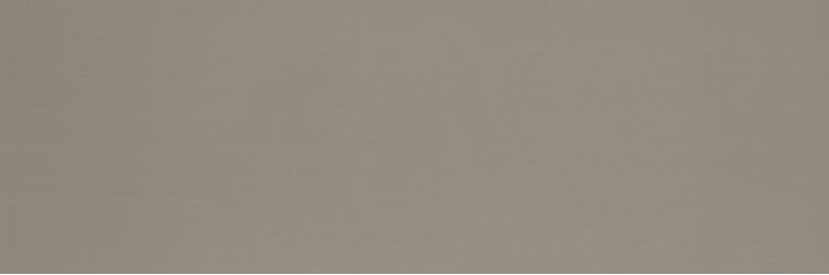 Colourline Taupe MLE2 22*66.2