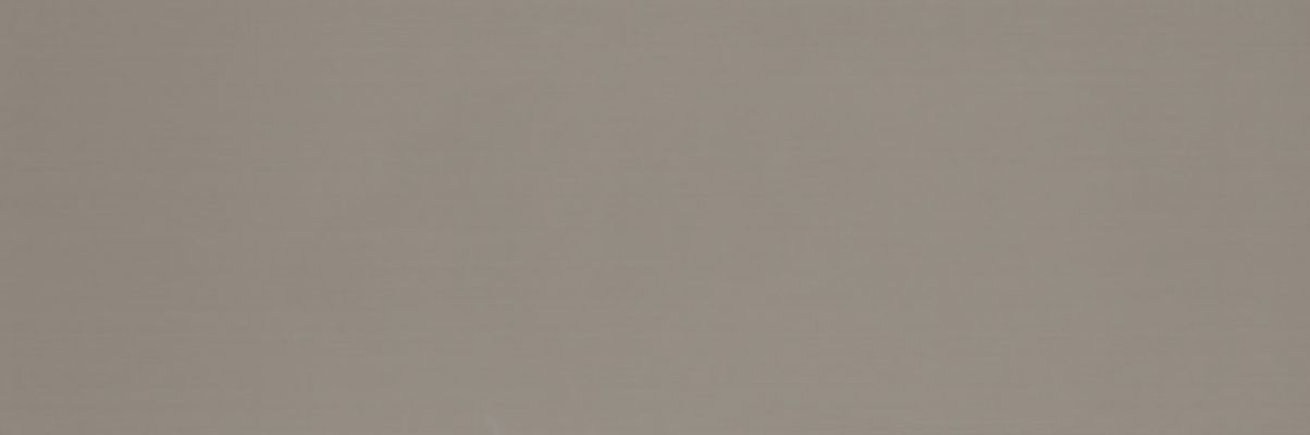 Colourline Taupe MLE2 22*66.2