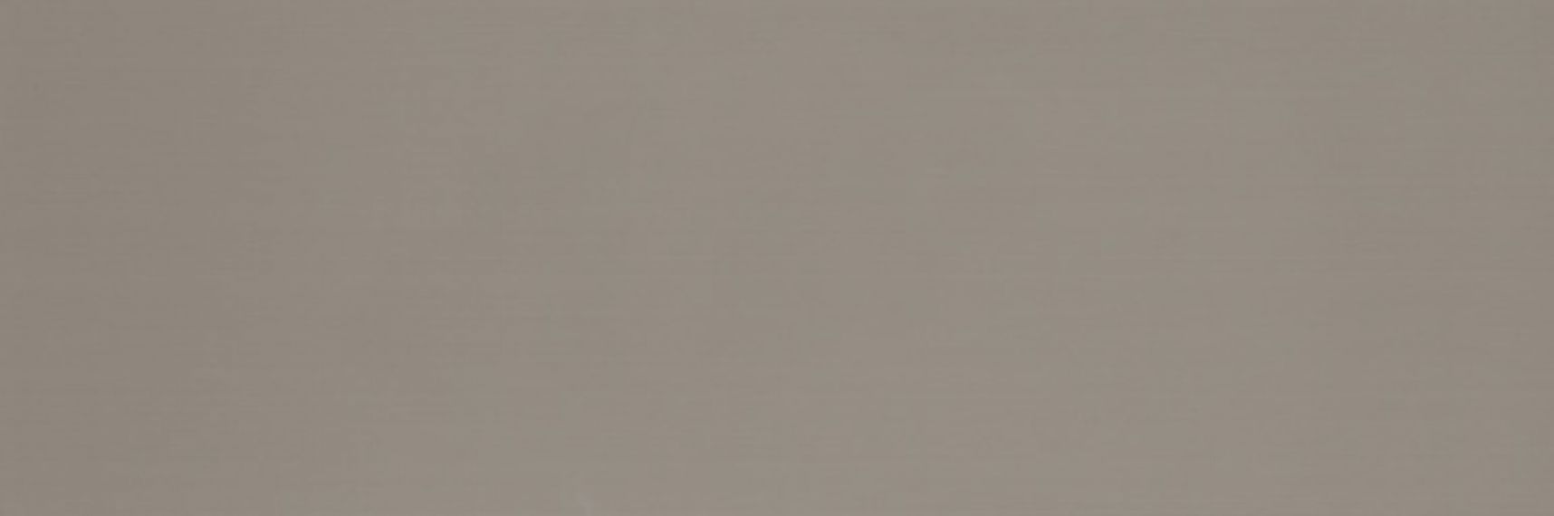 Colourline Taupe MLE2 22*66.2