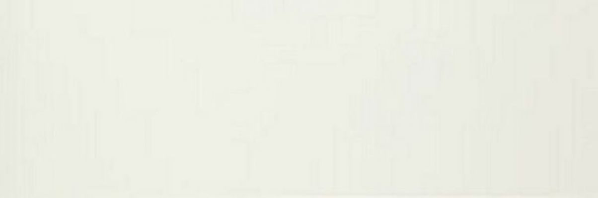 Colourline White MLE0 22*66.2