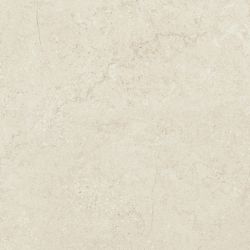 Concrete Bone 44.7x44.7