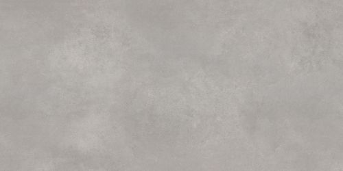 Concrete Courage Grey Серый Матовый 60х120