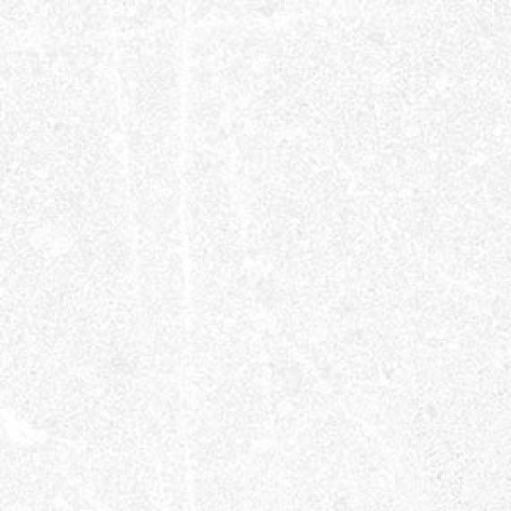 Corneille-R Blanco 15x15