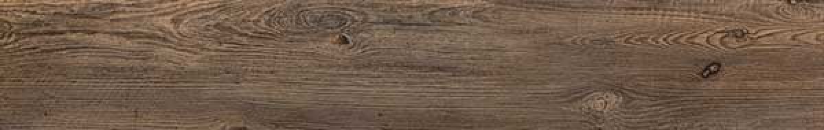 Cortone marrone 19.3*120.2
