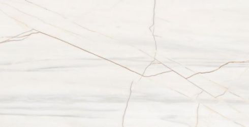 Crake White Polished 60x120