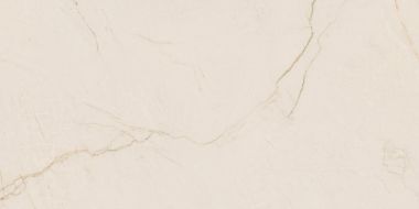 Crema Avorio Rect 59,1x119,1