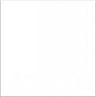 Cristal White матовый 60x60