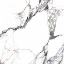 Culcutta bishkek polished 120x120