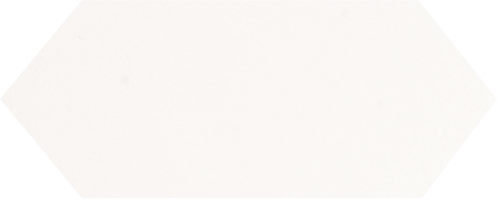 Cupidon Blanco Brillo Liso 10х30