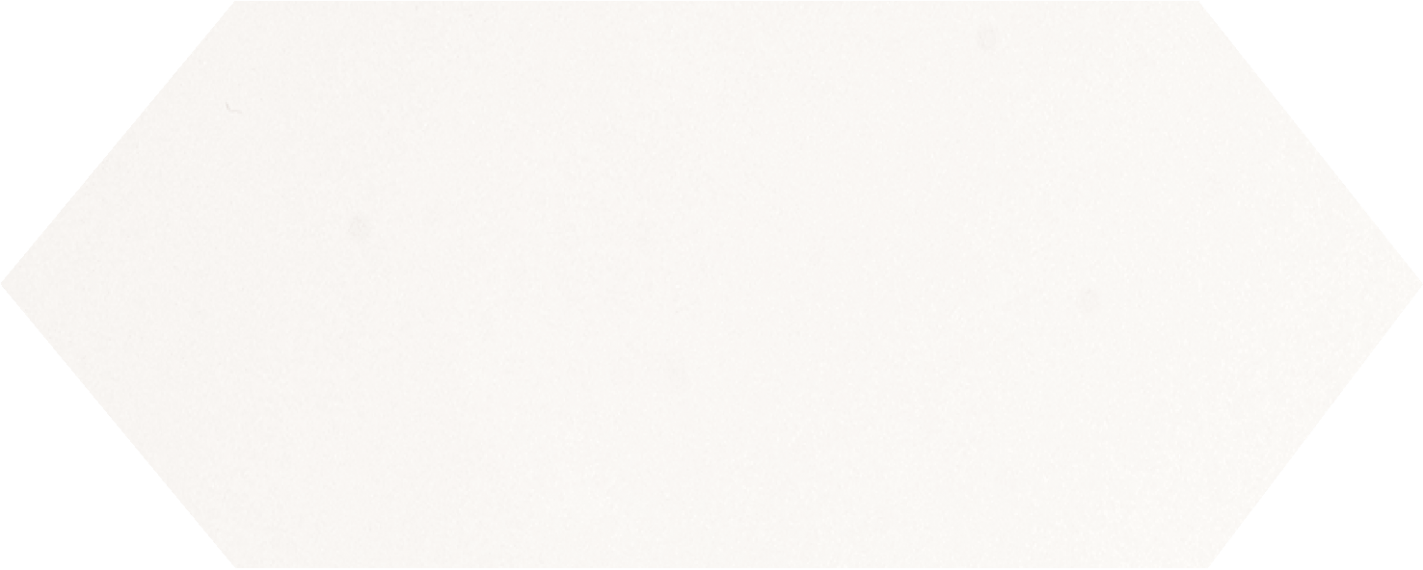 Cupidon Blanco Brillo Liso 10х30