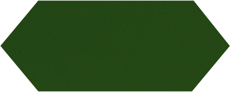 Cupidon Dark Green Brillo Liso 10х30