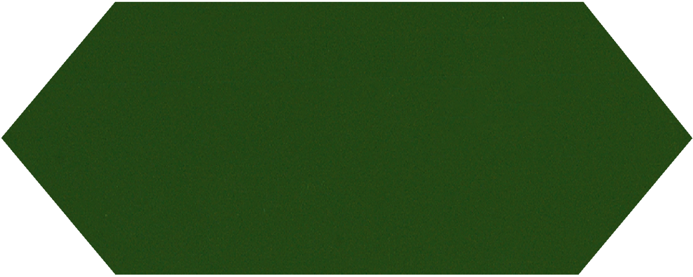 Cupidon Dark Green Brillo Liso 10х30