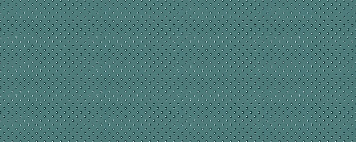 D-My Tones green B 29.8x74.8