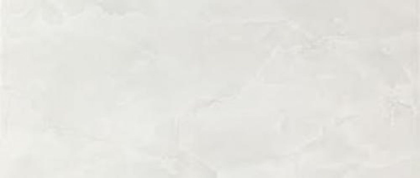D096 (5N3B) Marvel Moon Onyx 30x60